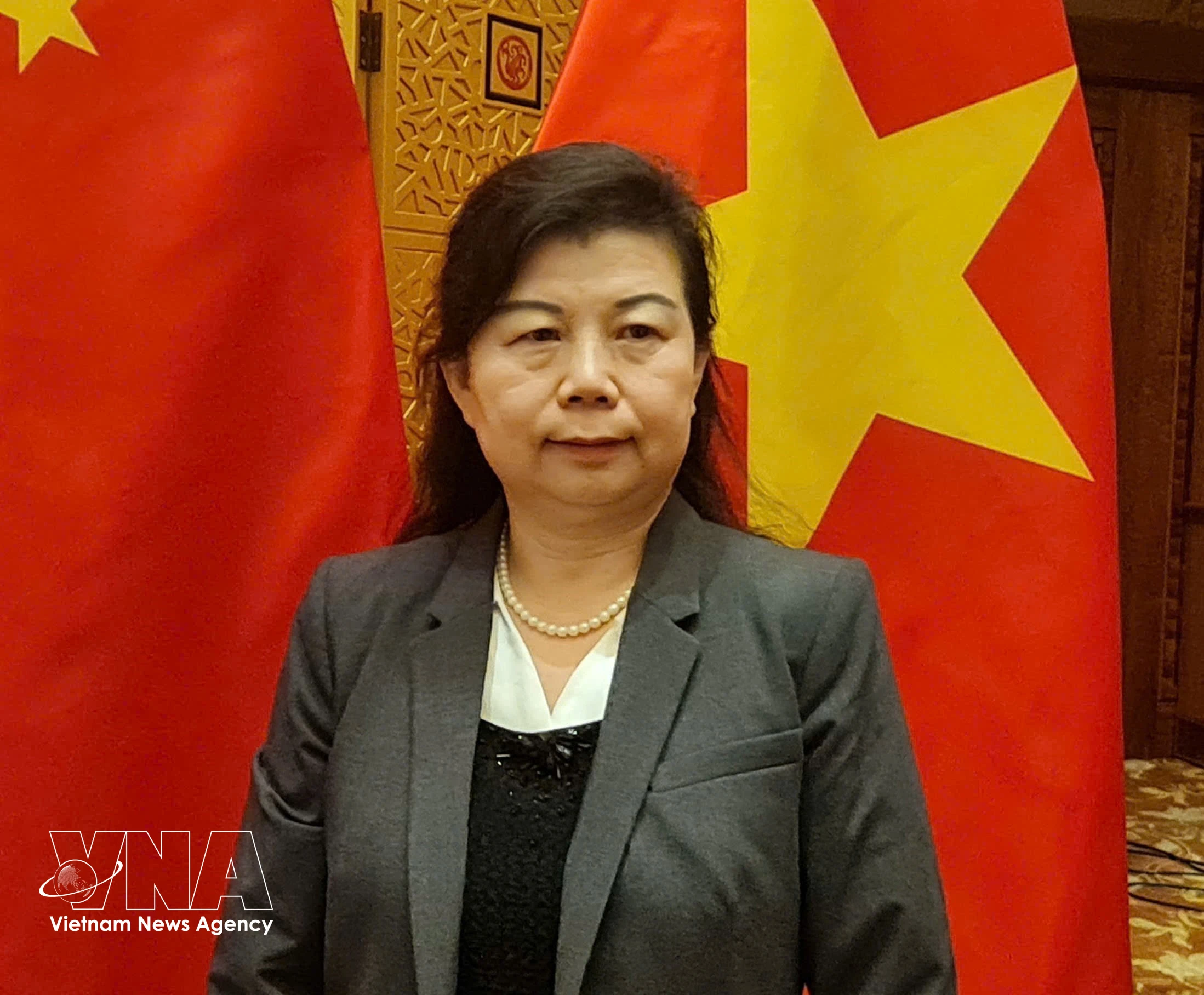 中国人民大学重阳金融研究院研究员刘英接受越通社驻中国记者采访。图自越通社