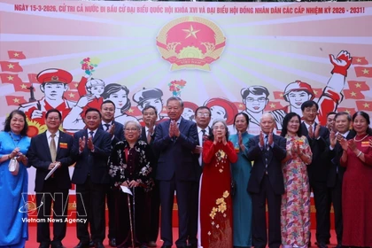 越共中央总书记苏林在河内巴亭坊第2号投票站参加选举投票