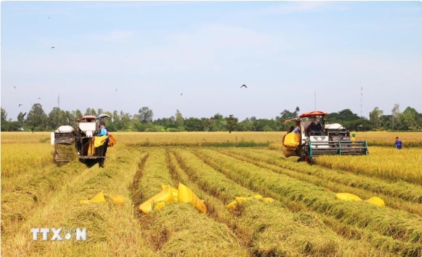 突破性的政策以及紧迫的实施节奏给民众带来了对新生活质量的诸多期望 图自越通社