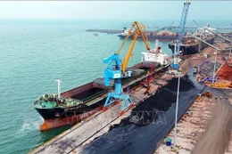 永昂港3号码头总投资额超过1万亿越南盾，长度为225米，能够接卸载重吨位达4.5万的船舶，年设计吞吐能力约215万吨。图自越通社