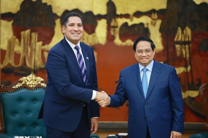 越南政府总理范明政在政府总部会见瑞典驻越南大使约翰·恩迪西 图自越通社