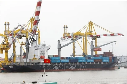 越南海防MPC港进出口货物装卸作业现场 图自越通社