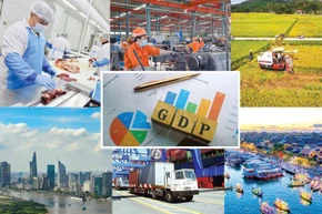 2026年前两个月越南经济运行亮点纷呈