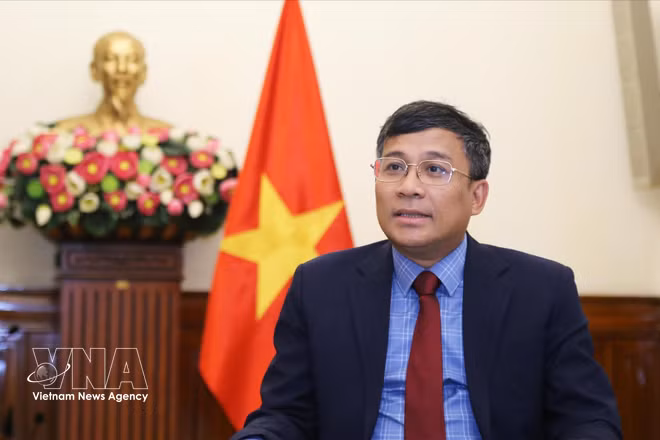 越共中央委员、外交部党委副书记兼副外长阮明羽。图自越通社