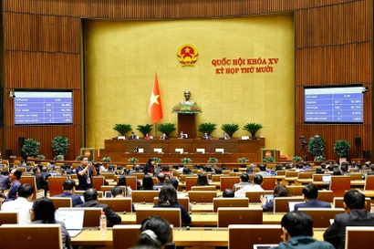 越南国会通过9部法律和11项决议