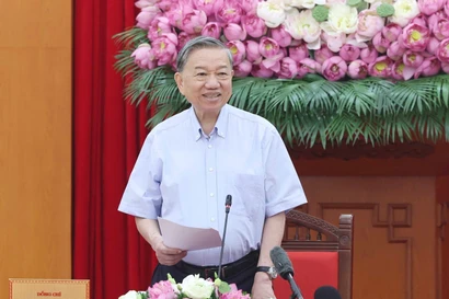 继续主动审查、完善提交越共第十四次全国代表大会的文件草案