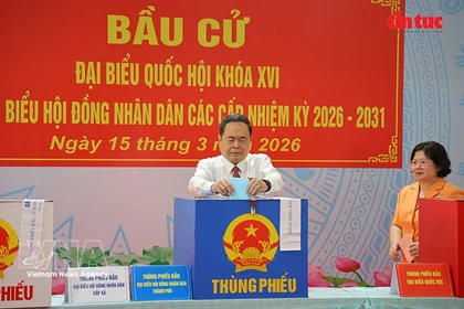 越南国会主席、国家选举委员会主席陈青敏在胡志明市旭门乡第14号投票站行使公民权利。图自越通社