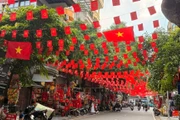 河内多条街道在“九·二”国庆节期间张灯结彩、焕然一新。图自越通社 