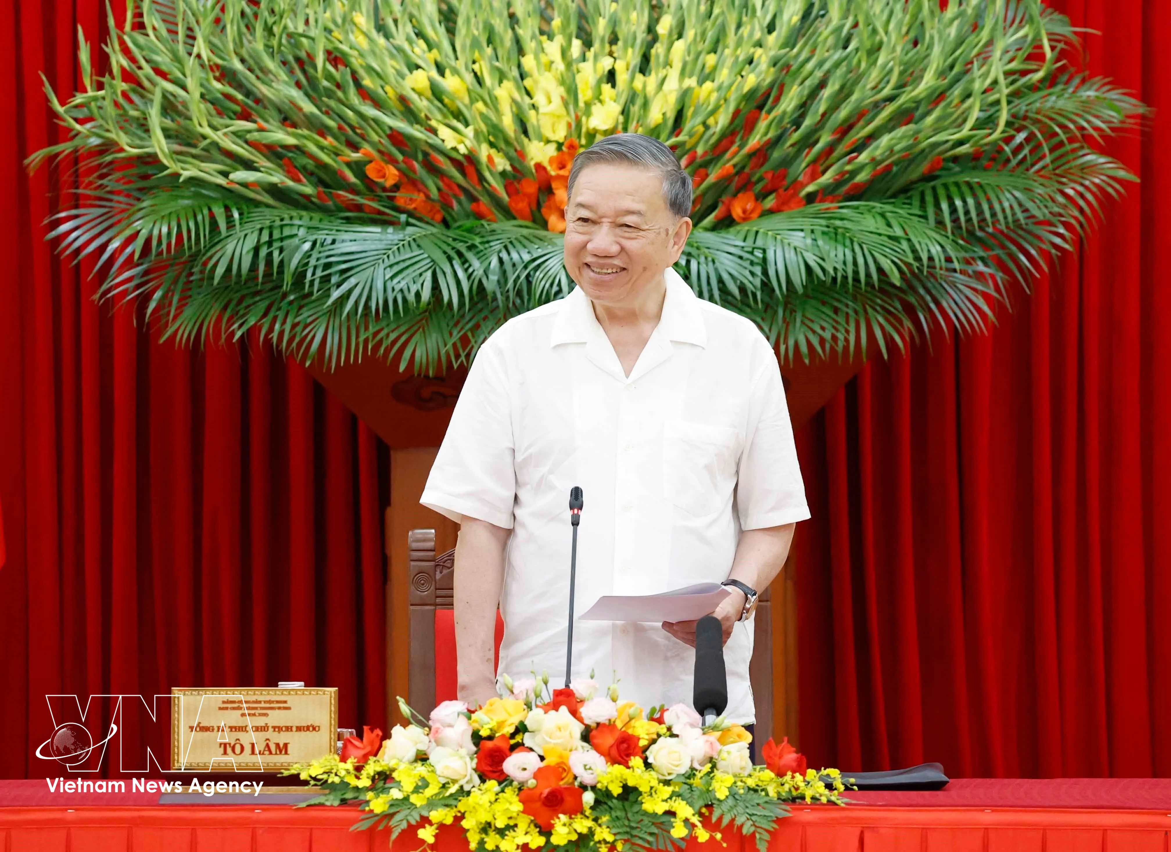 越共中央总书记、国家主席苏林在会议上发表讲话。图自越通社