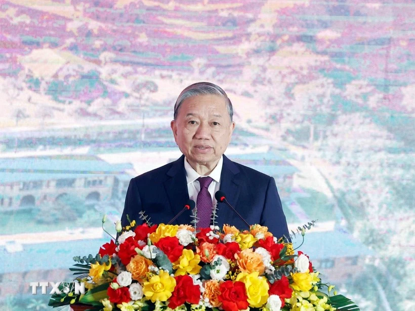 越共中央总书记苏林