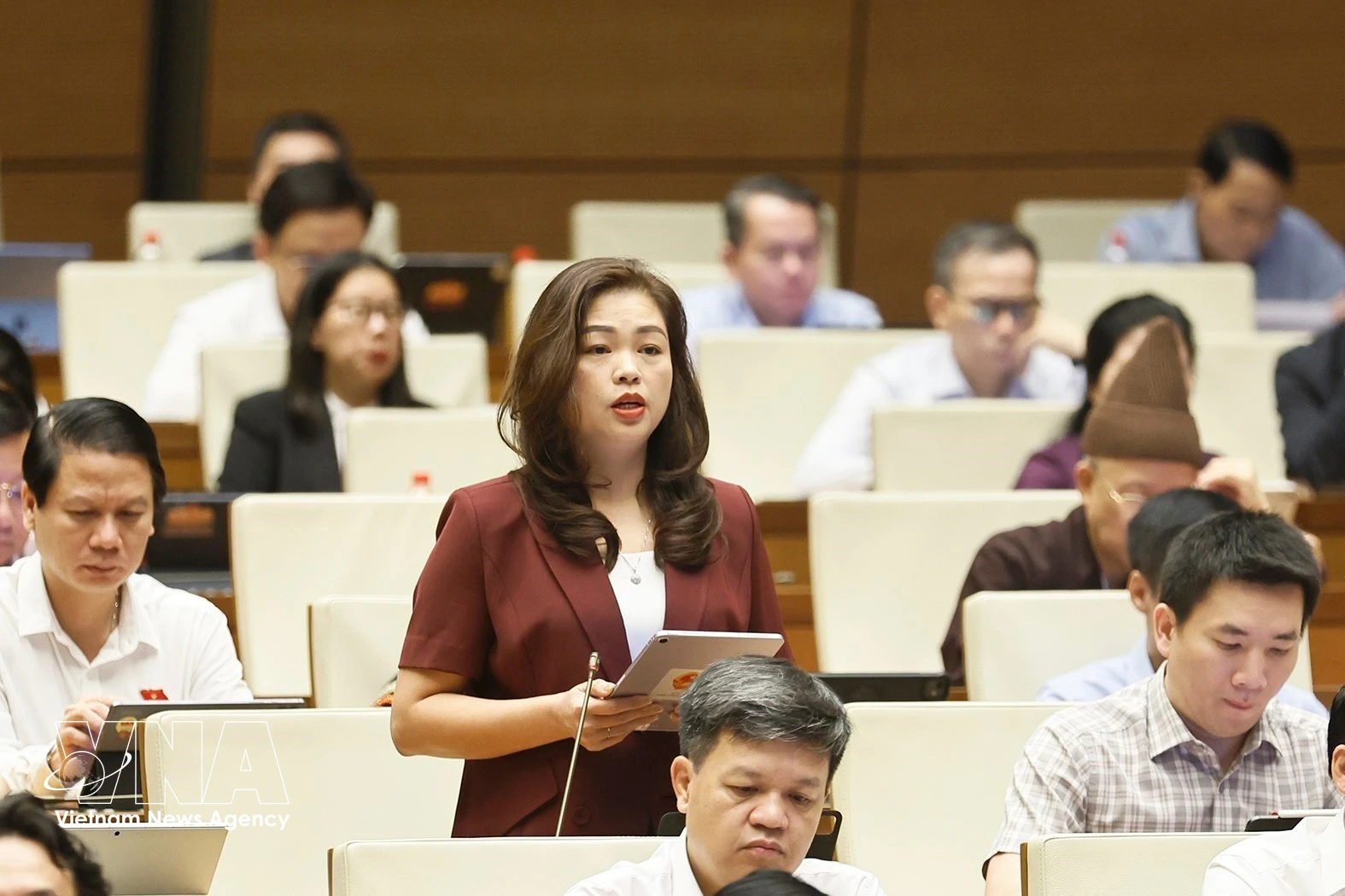 高平省国会代表段氏黎安发表讲话。图自越通社