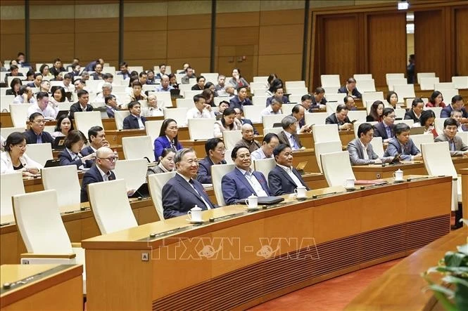 苏林总书记、范明政总理和和各位代表出席会议。图自越通社