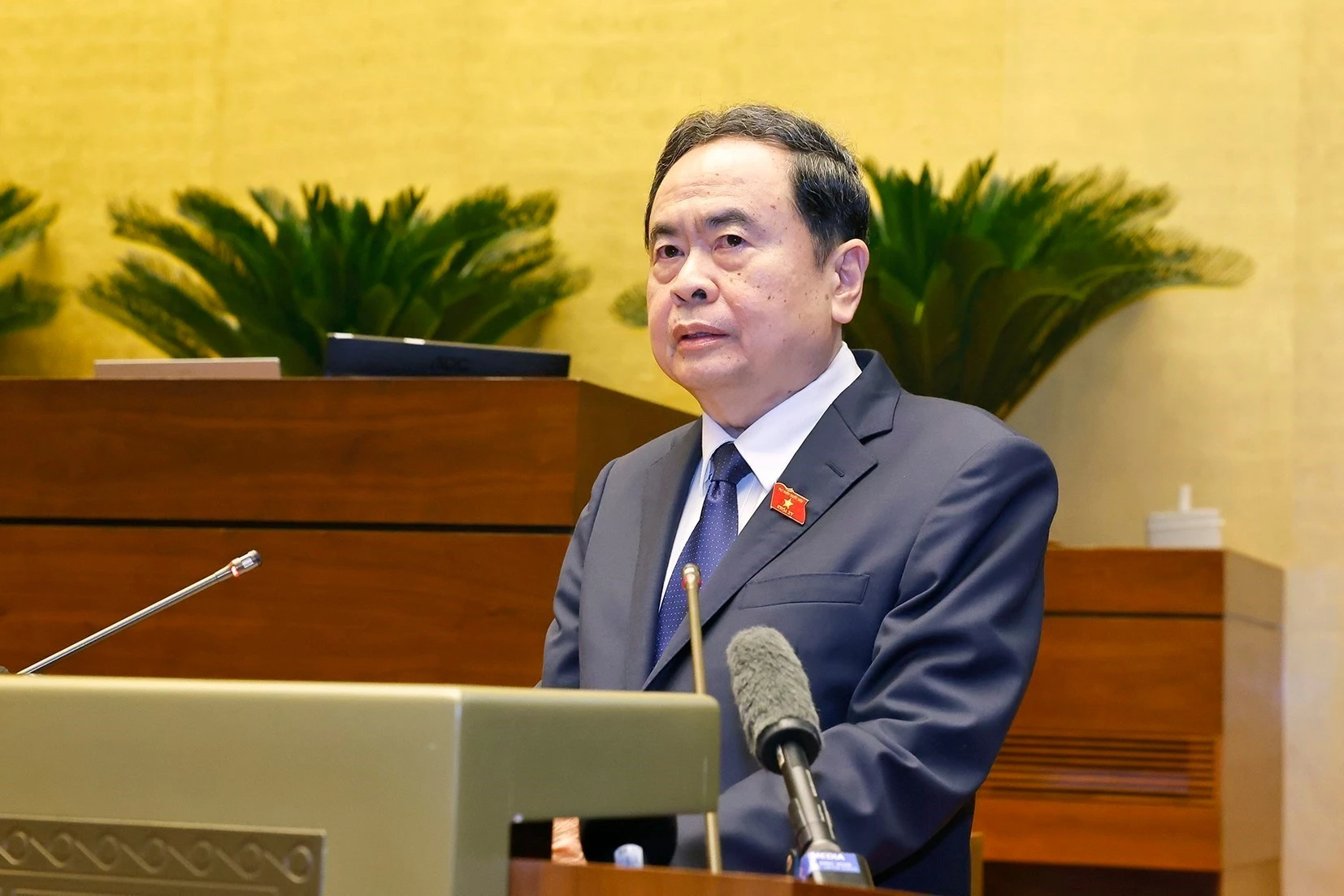 越共中央政治局委员、国会主席、国家选举委员会主席陈青敏主持会议。图自越通社