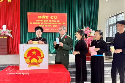 越南全国迎接第十六届国会代表和2026-2031年任期各级人民议会代表选举。图自越通社