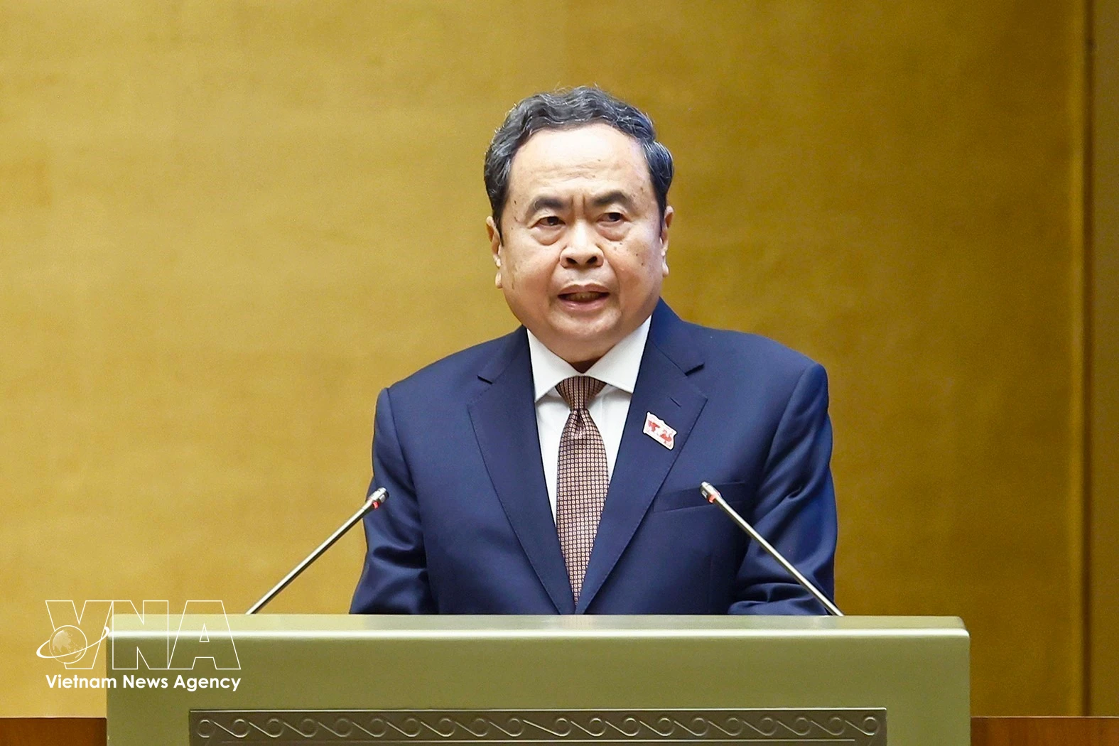 越南国会主席陈青敏发表讲话 图自越通社