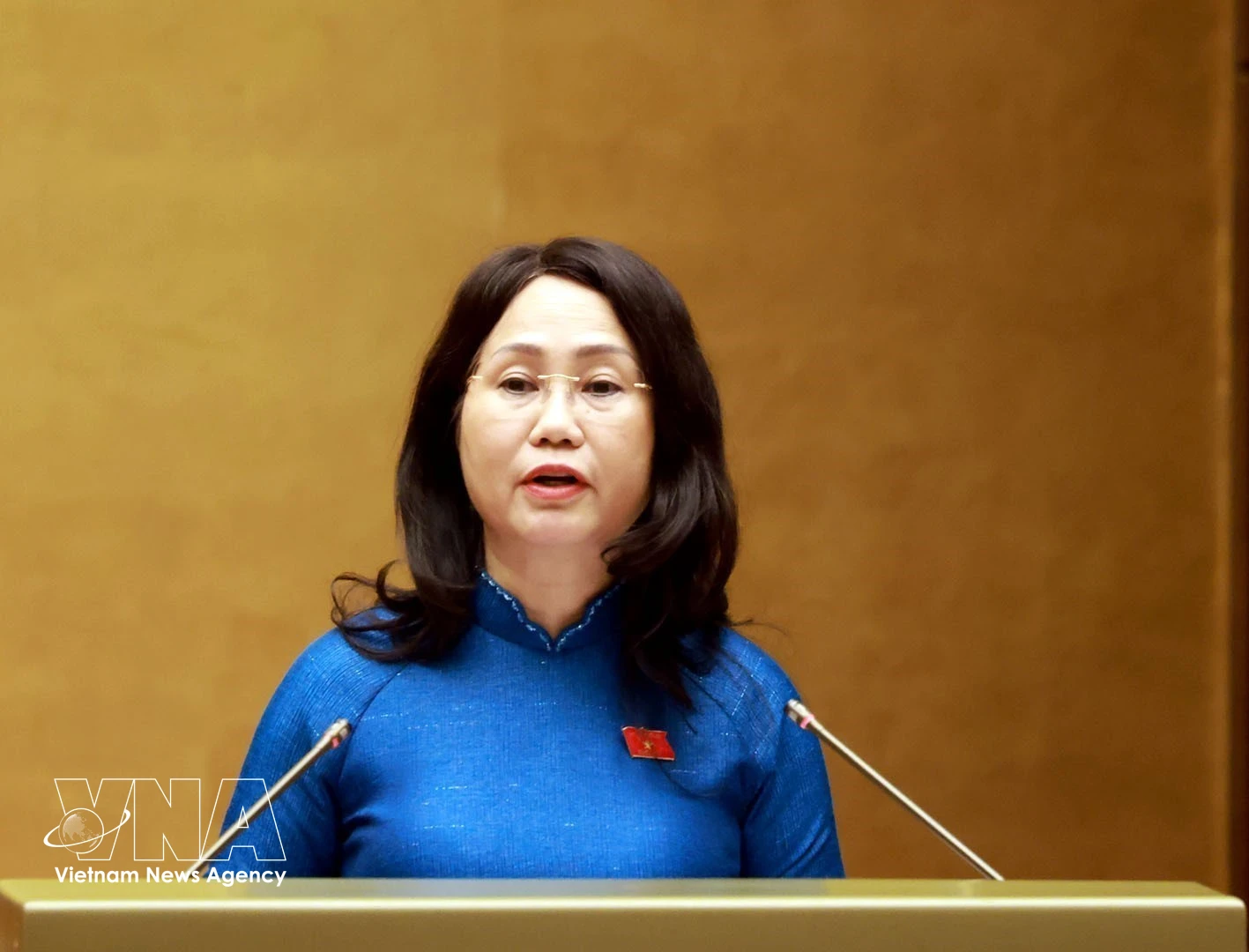 越南文化、体育与旅游部部长林氏芳青作国会关于越南文化发展的决议草案的说明、采纳与整理报告。图自越通社