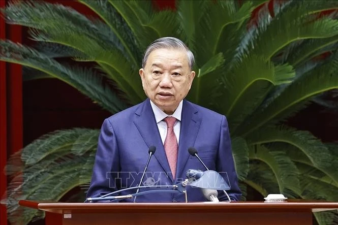 苏林总书记在会上发表讲话。图自越通社