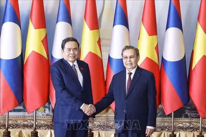 越南国会主席陈青敏会见老挝国会主席赛宋蓬·丰威汉。图自越通社